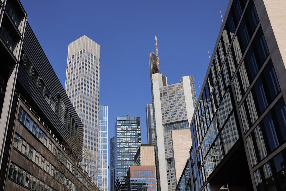 The Rise of Central Bank Digital Currencies: What Americans Need to Know in 2026