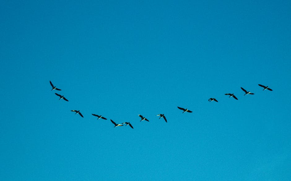 Millionaire Migration Patterns: Which States Are Winning the 2026 Tax Haven War