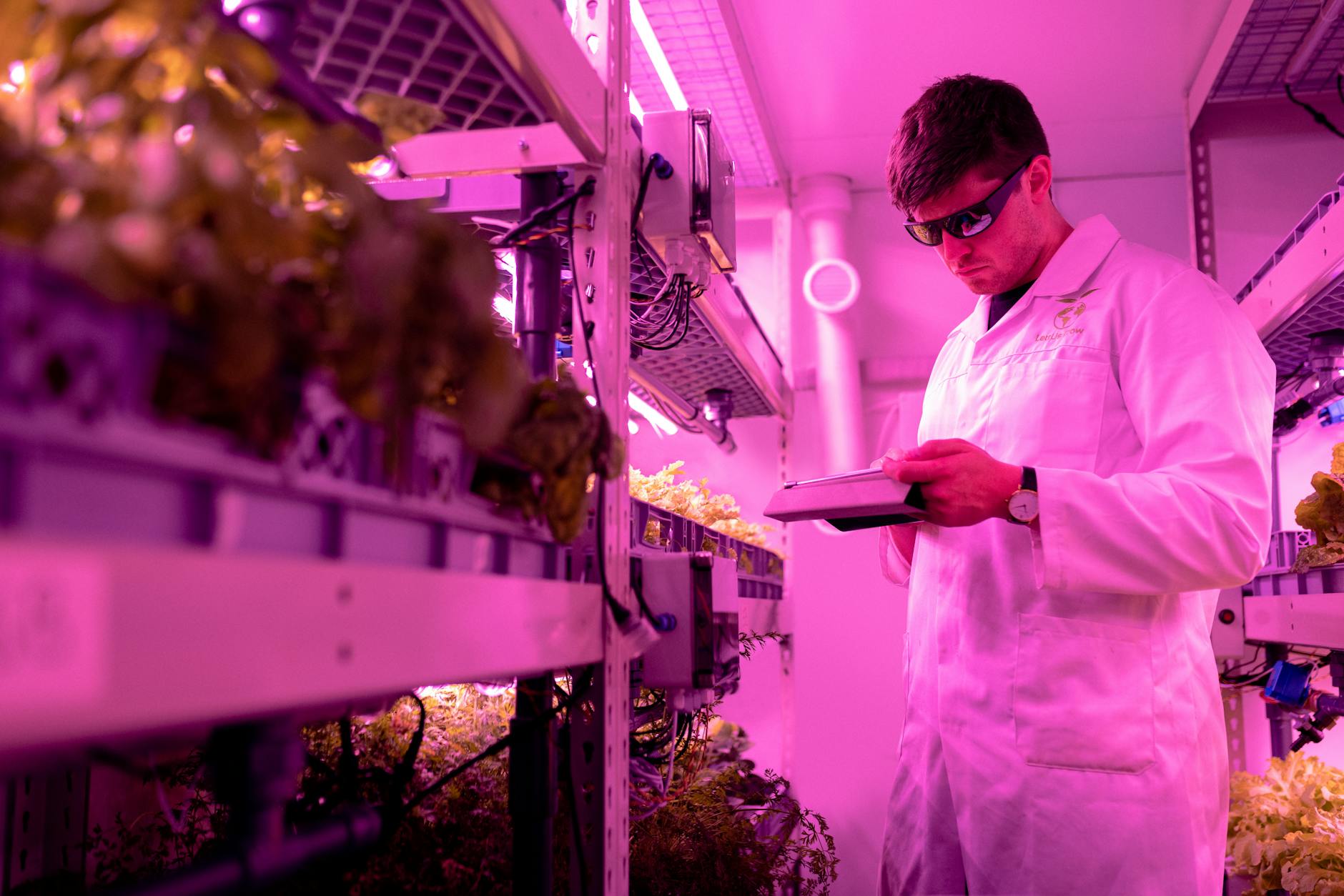 Modern indoor vertical farming facility with stacked growing towers and LED lighting systems