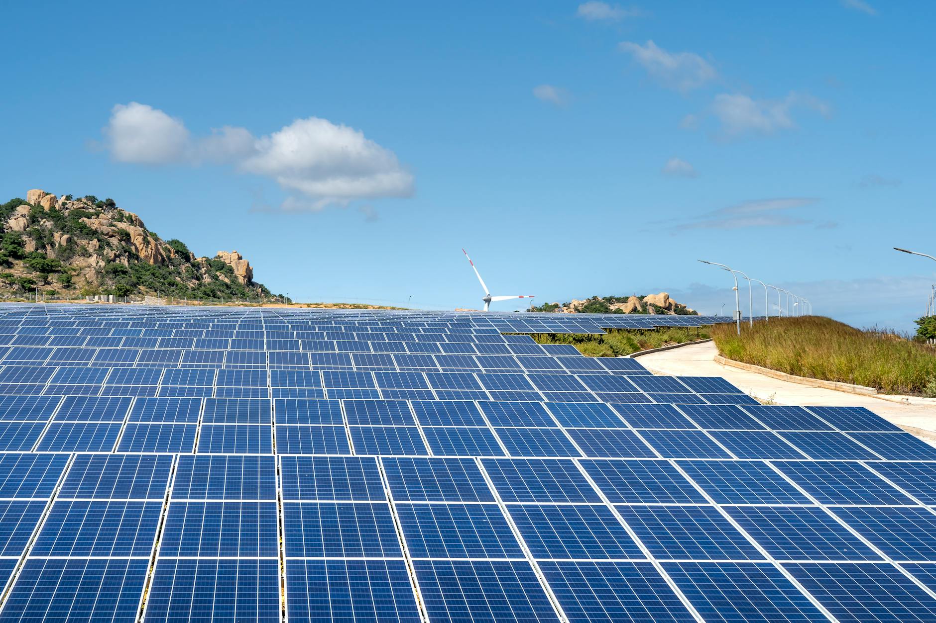 Large solar panel installation in open field representing renewable energy investments
