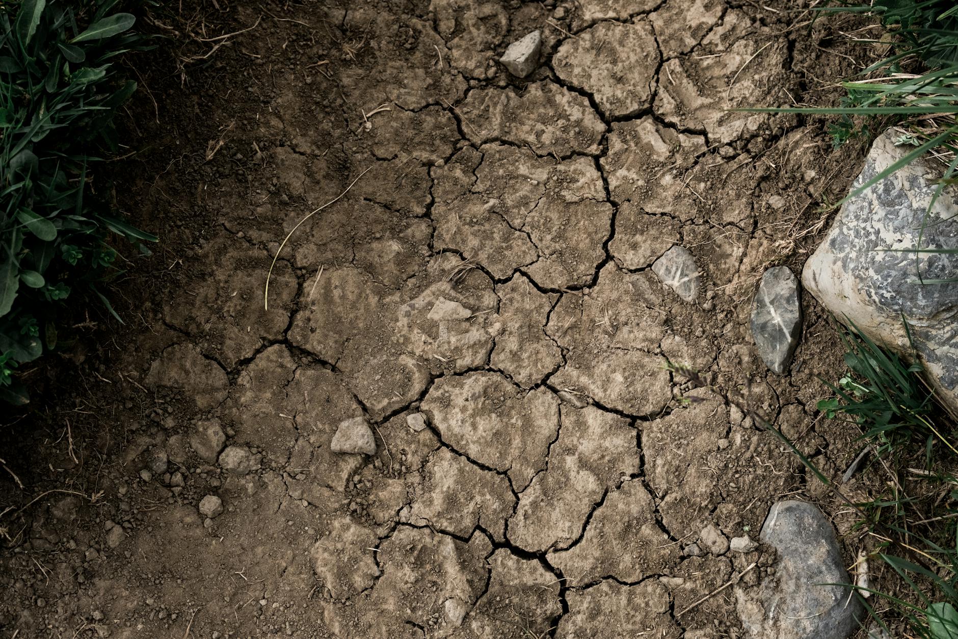 Aerial view of cracked, dry earth showing the effects of severe drought conditions