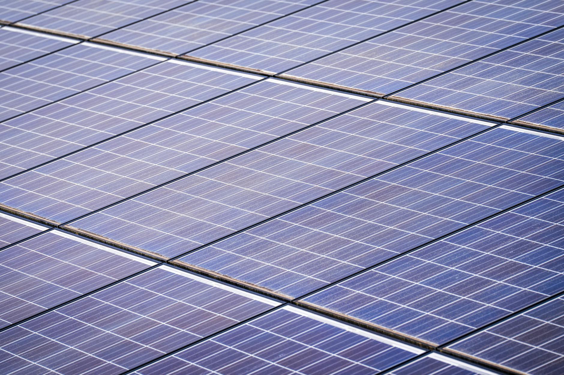 Large-scale solar panel installation representing renewable energy infrastructure investment