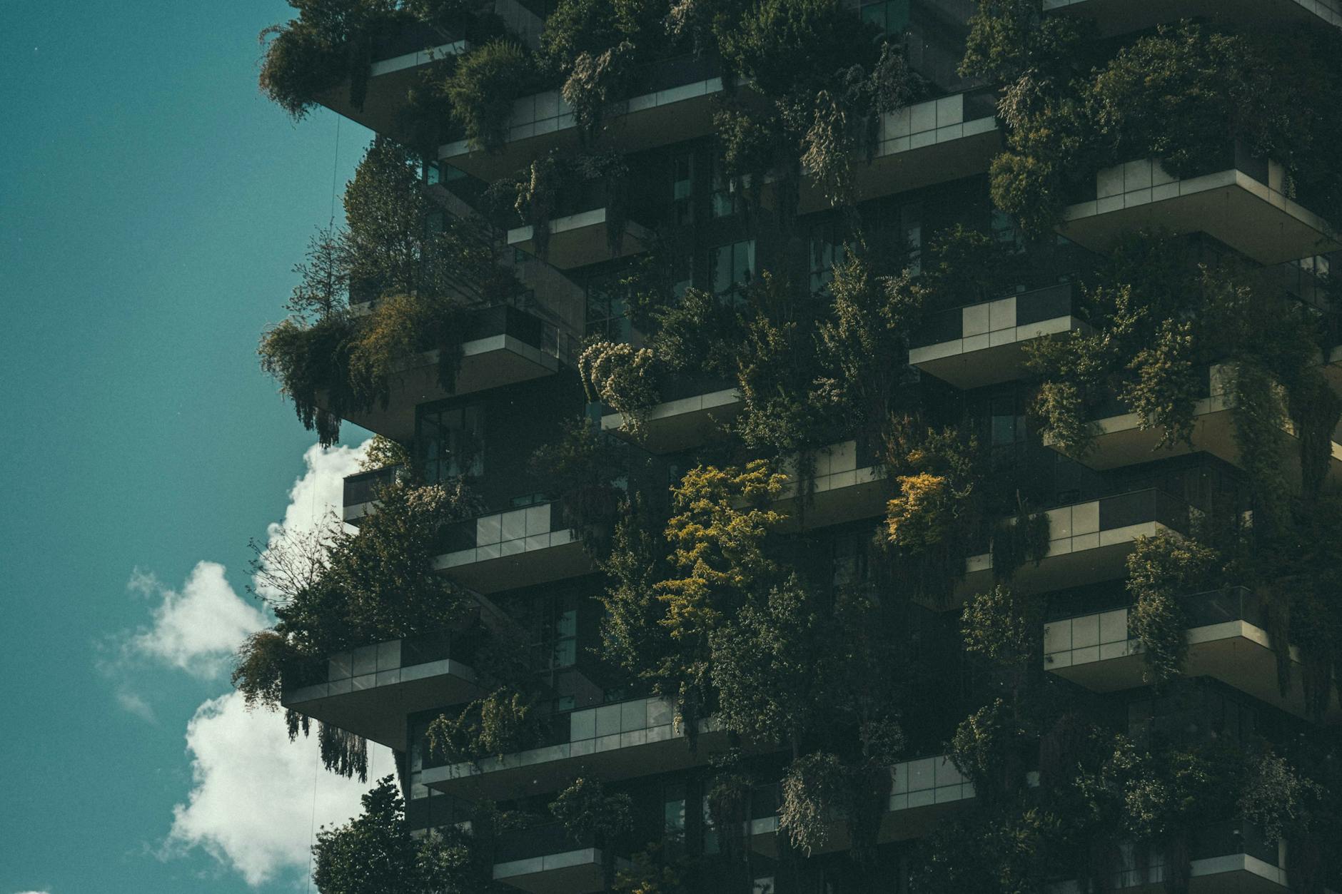 Climate-resilient infrastructure representing insurance industry investment priorities