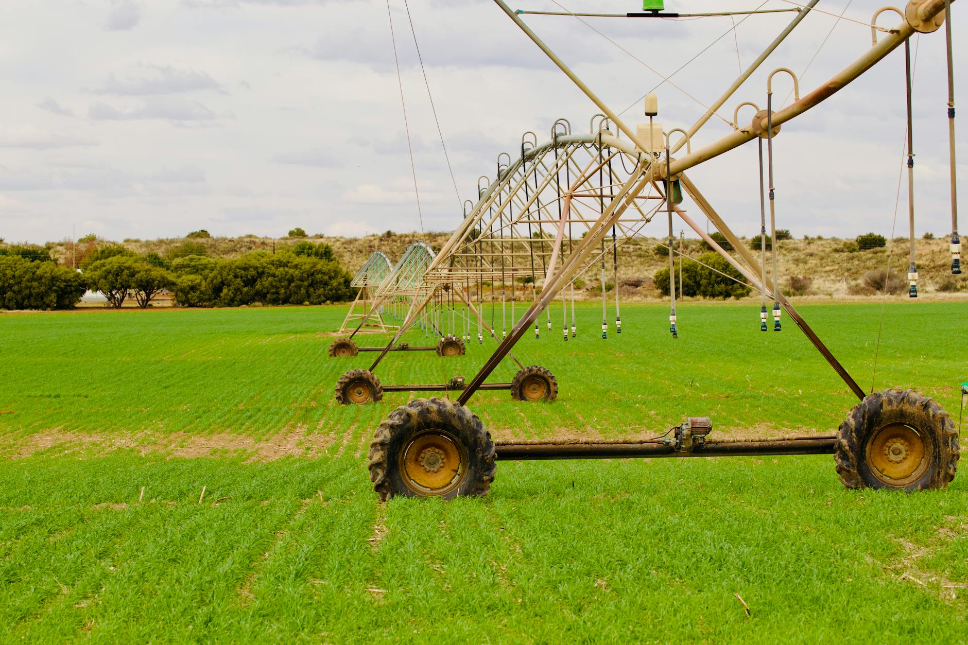 Agricultural irrigation system spraying water over green crop fields