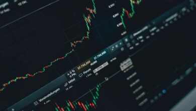 Investor reviewing stock market data on a computer screen