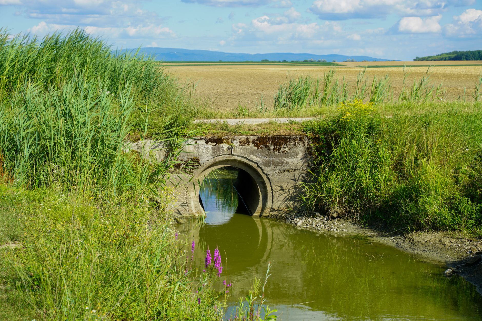 Agricultural water canal running alongside farmland in a dry landscape