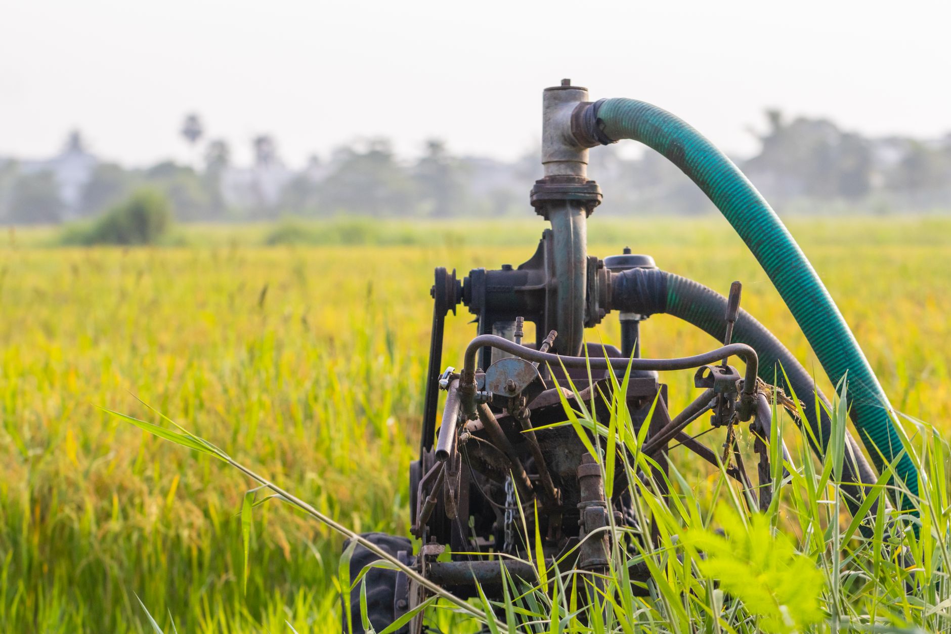 Crude oil pump jack operating in an open field at sunset