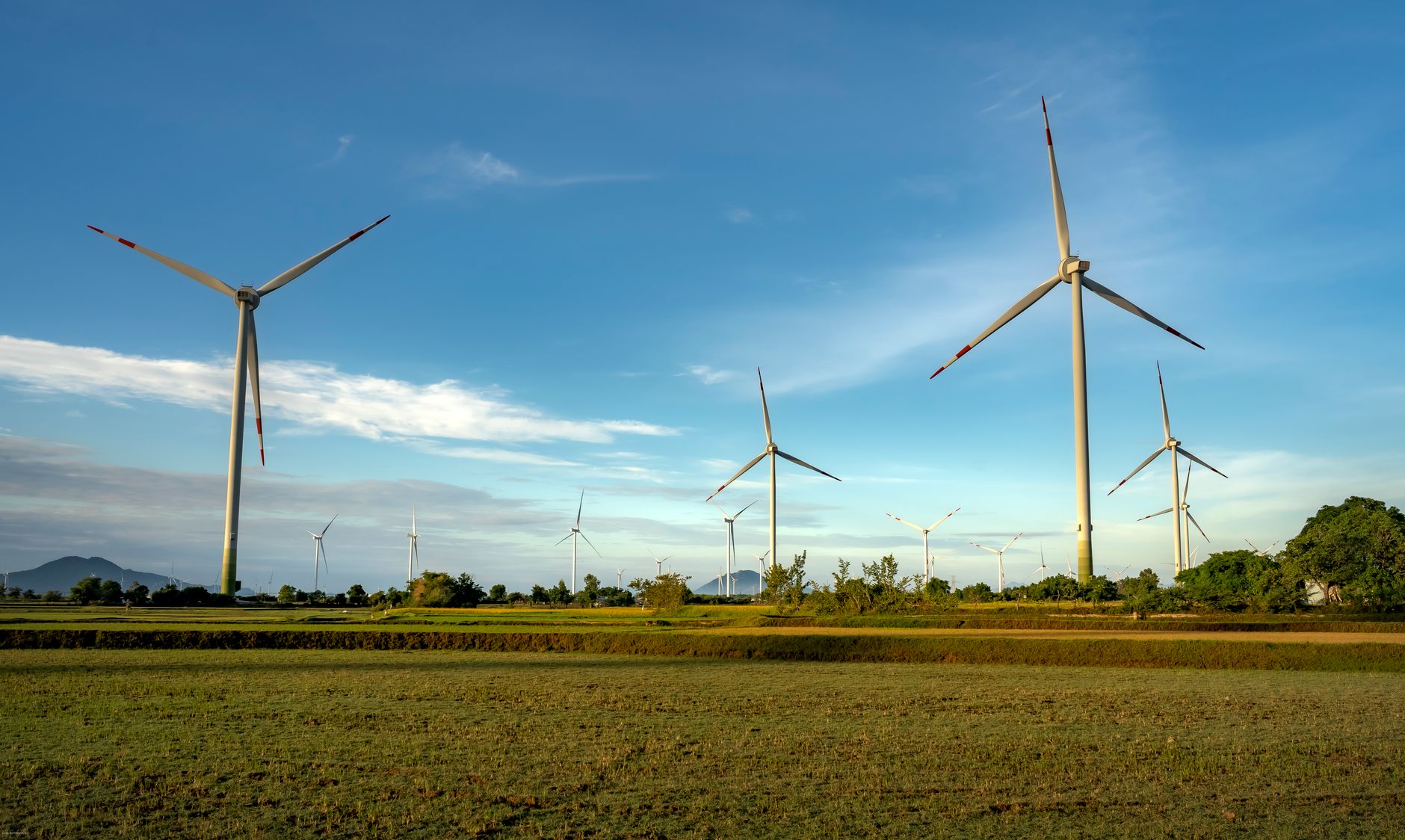 Wind turbines operating across a flat agricultural field representing wind energy infrastructure